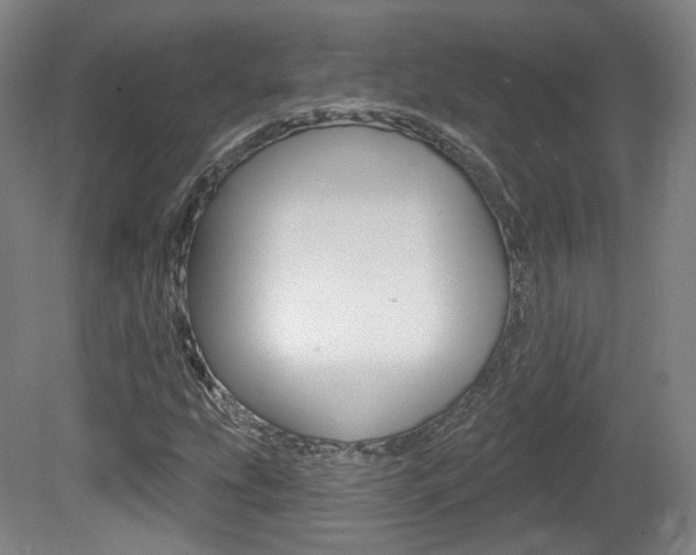 X0000080741207200612150923