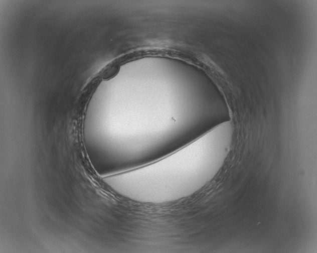 X0000080741208200612150923