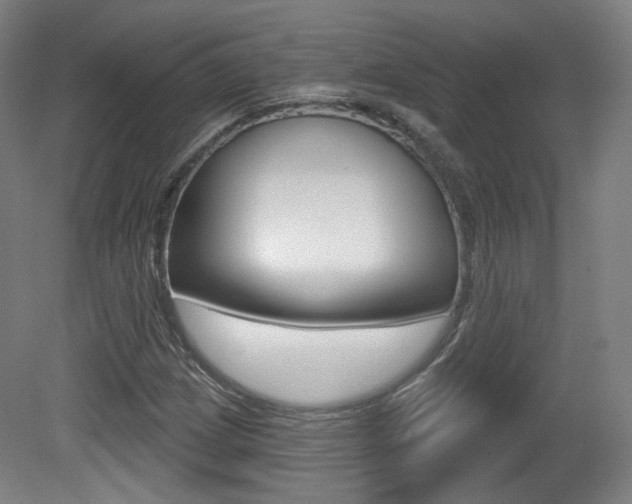 X0000080741209200612150923