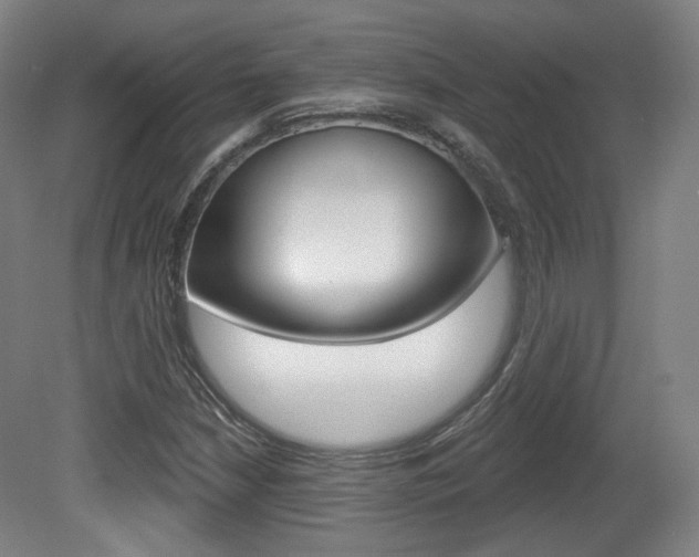 X0000080741210200612150923