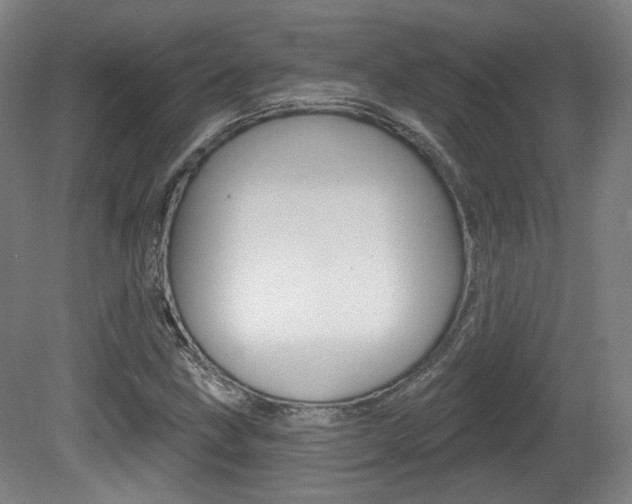 X0000080741211200612150923