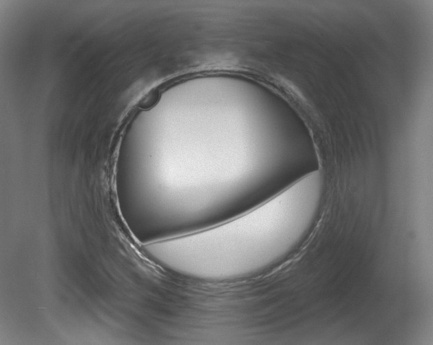 X0000080741212200612150923