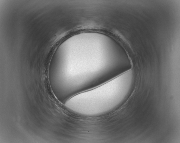 X0000080741213200612150923