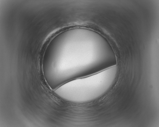 X0000080741214200612150923