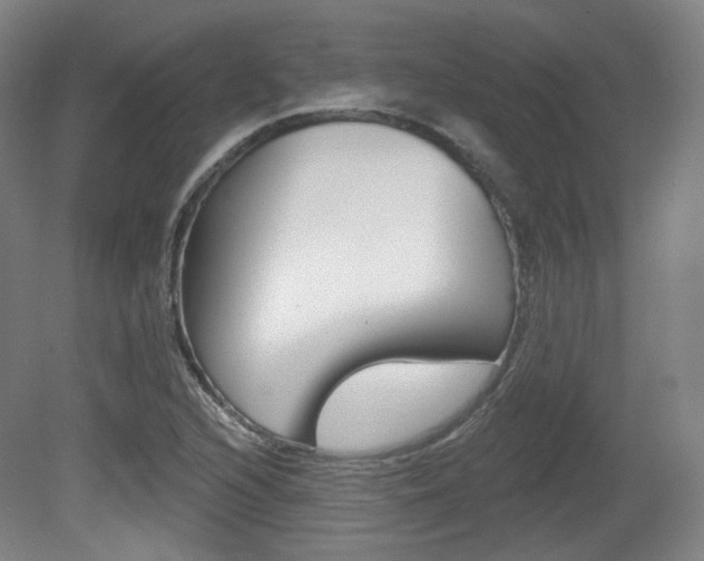 X0000080741216200612150923