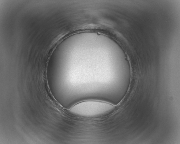 X0000080741217200612150923