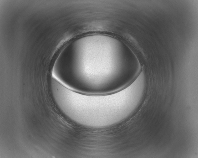 X0000080741218200612150923