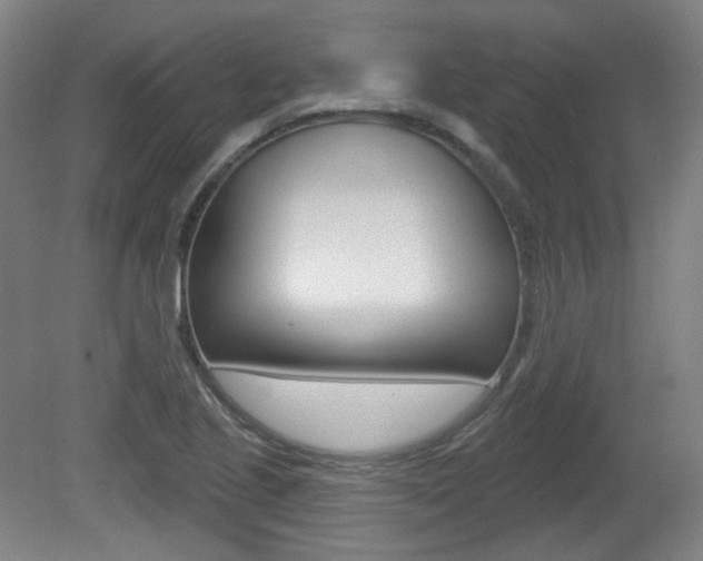 X0000080741221200612150923
