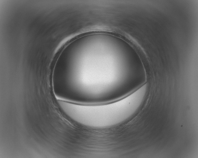 X0000080741222200612150923