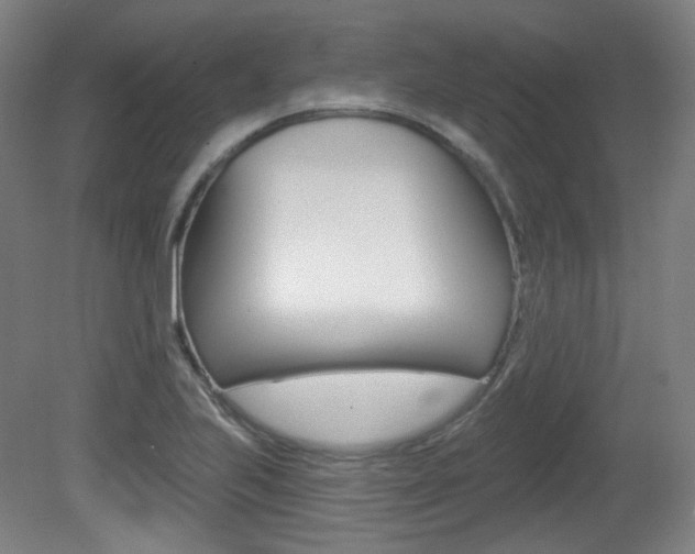 X0000080741223200612150923