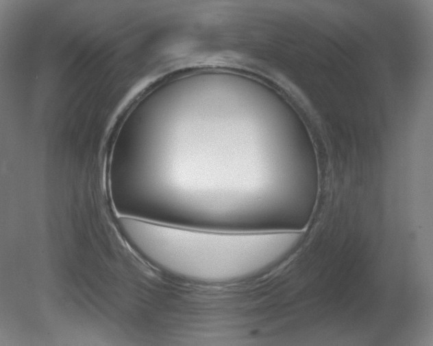 X0000080741224200612150923