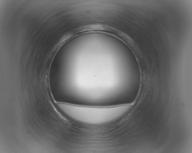 X0000080741225200612150923