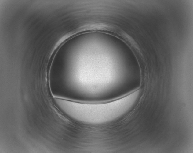 X0000080741226200612150923