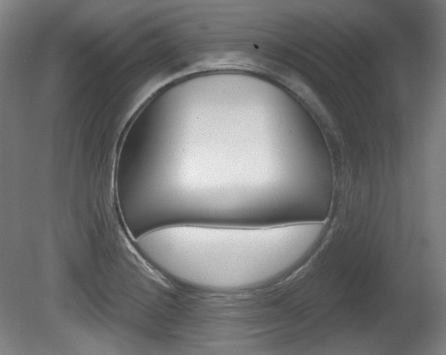 X0000080741228200612150923
