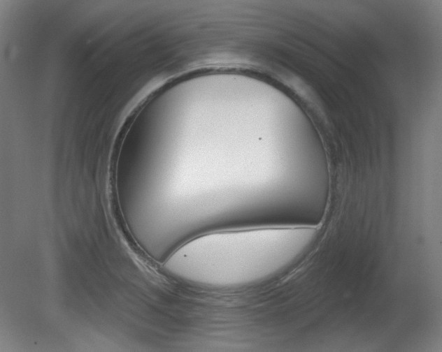 X0000080741229200612150923