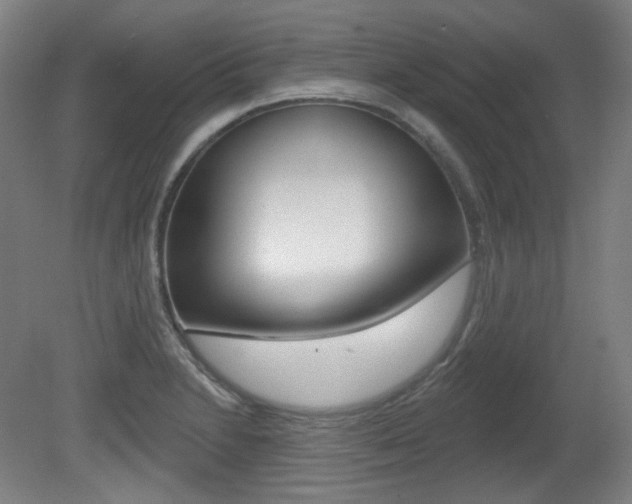 X0000080741230200612150923