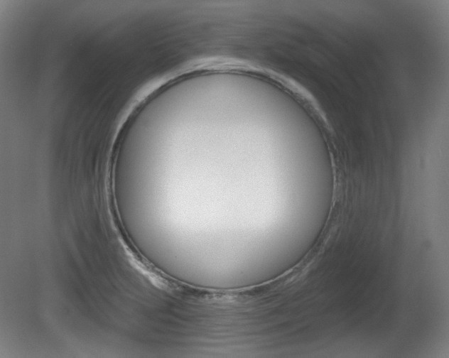 X0000080741231200612150923