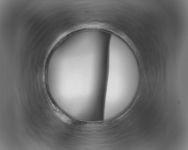 X0000080741232200612150924