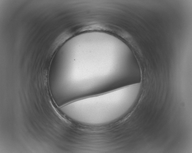 X0000080741233200612150924