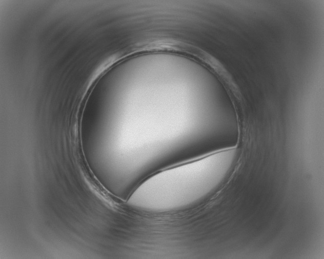 X0000080741234200612150924