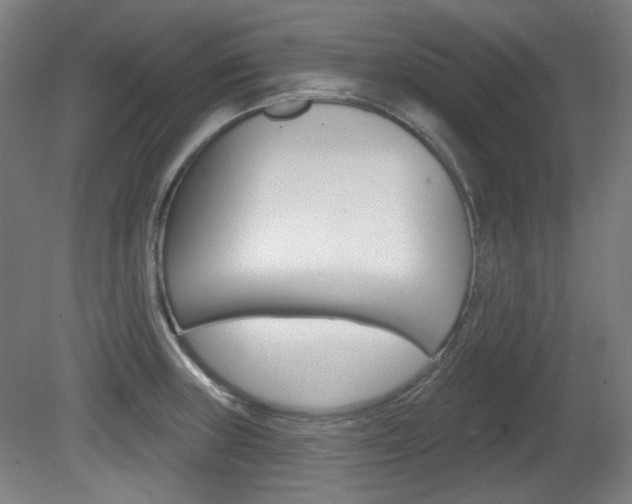 X0000080741235200612150924