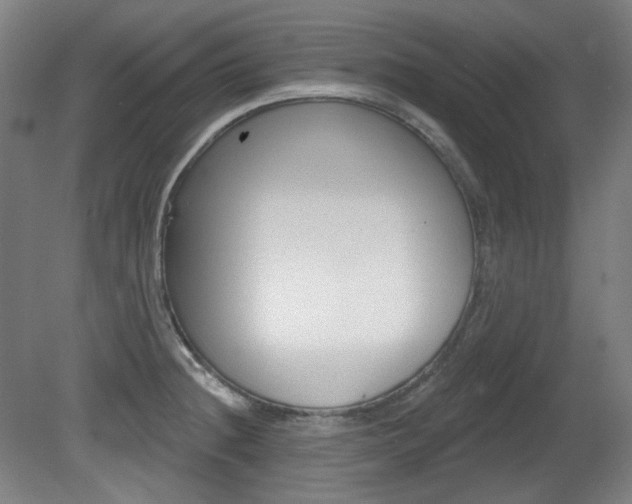 X0000080741236200612150924