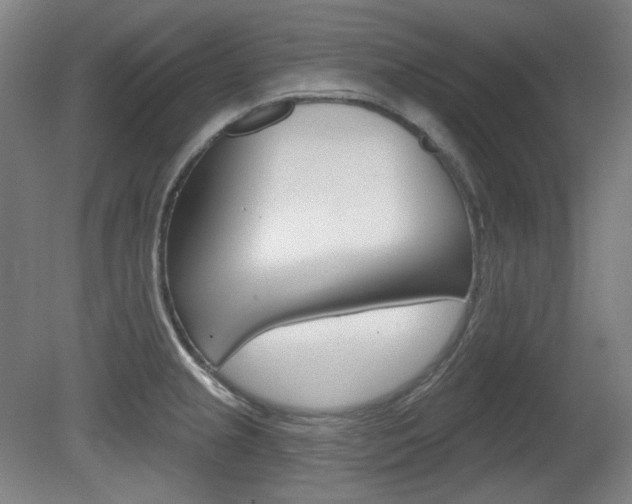 X0000080741237200612150924