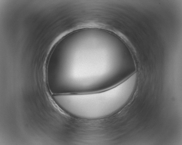 X0000080741238200612150924