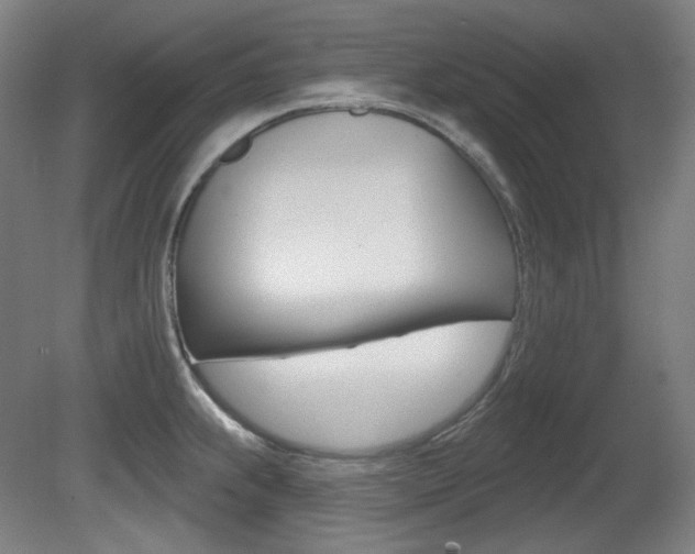 X0000080741239200612150924