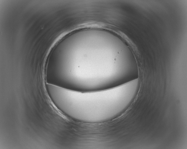 X0000080741240200612150924