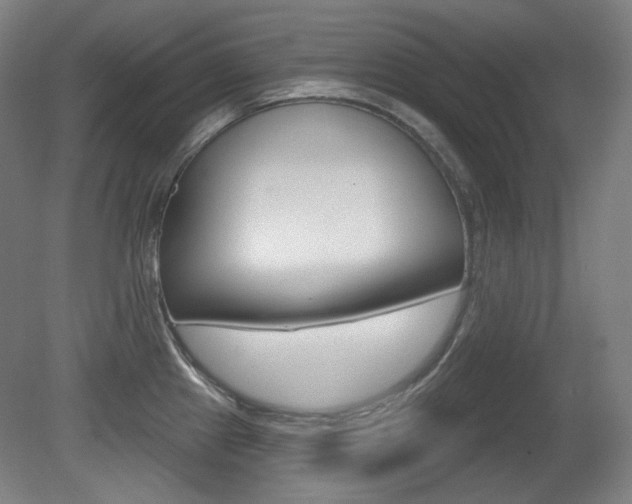 X0000080741241200612150924