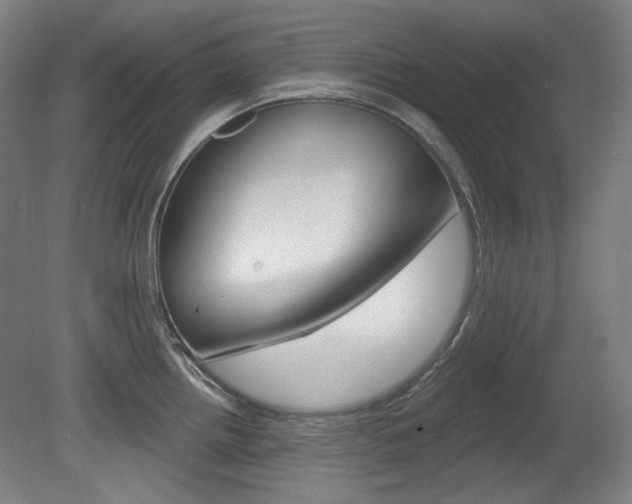 X0000080741242200612150924