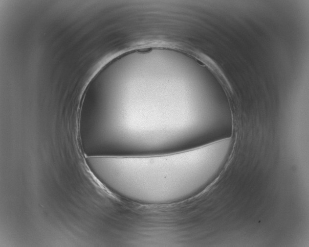 X0000080741244200612150924