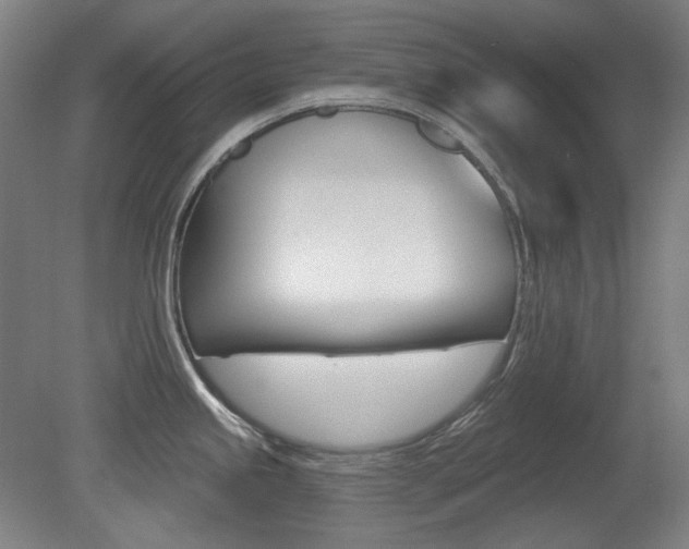 X0000080741245200612150924