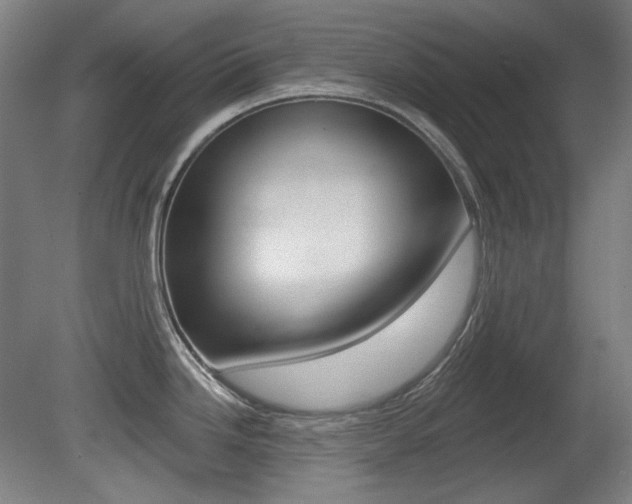 X0000080741246200612150924