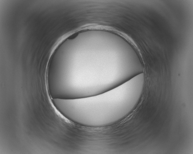 X0000080741247200612150924