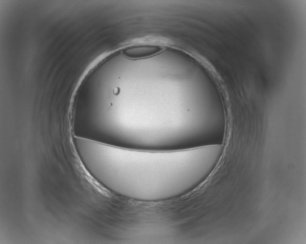 X0000080741248200612150924