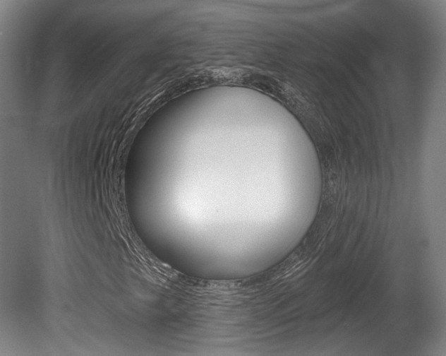 X0000080741249200612150923