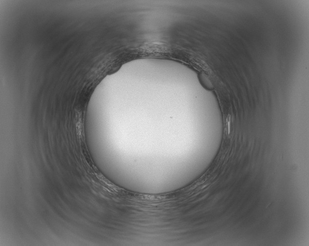 X0000080741251200612150923