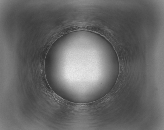 X0000080741253200612150923