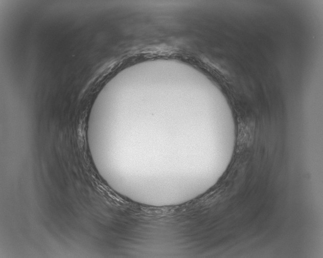 X0000080741254200612150923