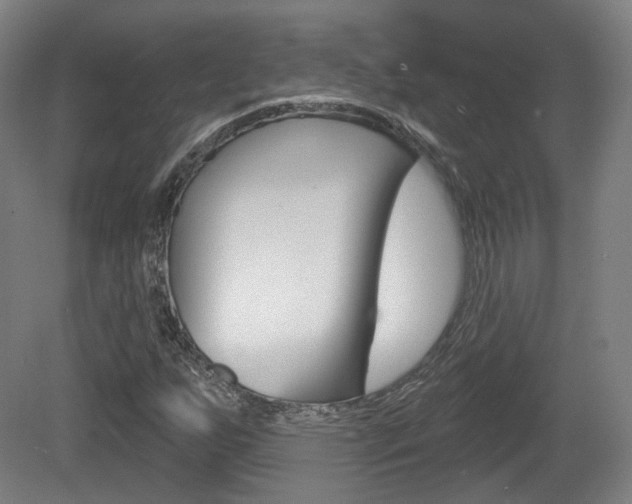 X0000080741255200612150923