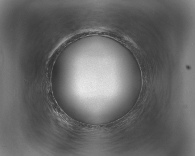 X0000080741256200612150923