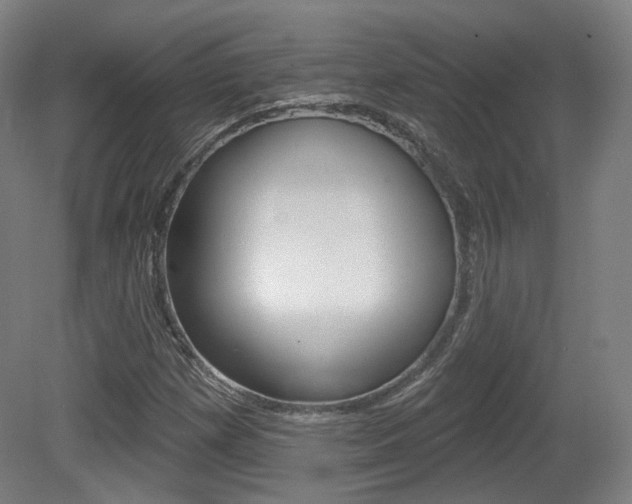 X0000080741257200612150923