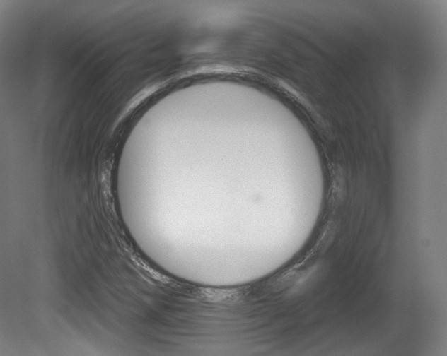 X0000080741258200612150923