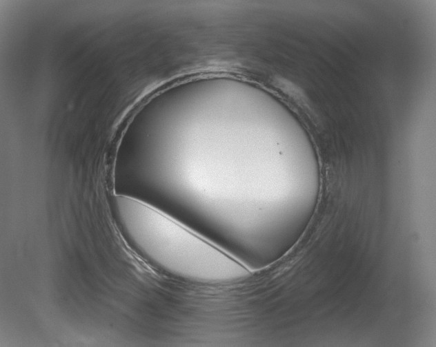X0000080741260200612150923
