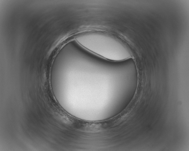 X0000080741261200612150923