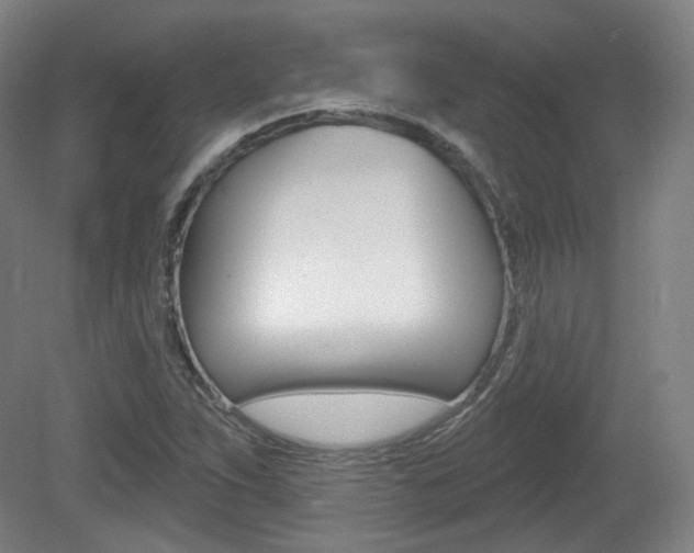 X0000080741263200612150923