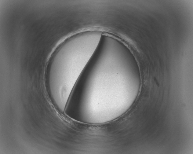 X0000080741264200612150923