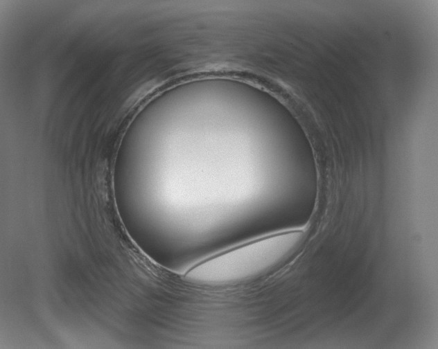 X0000080741265200612150923